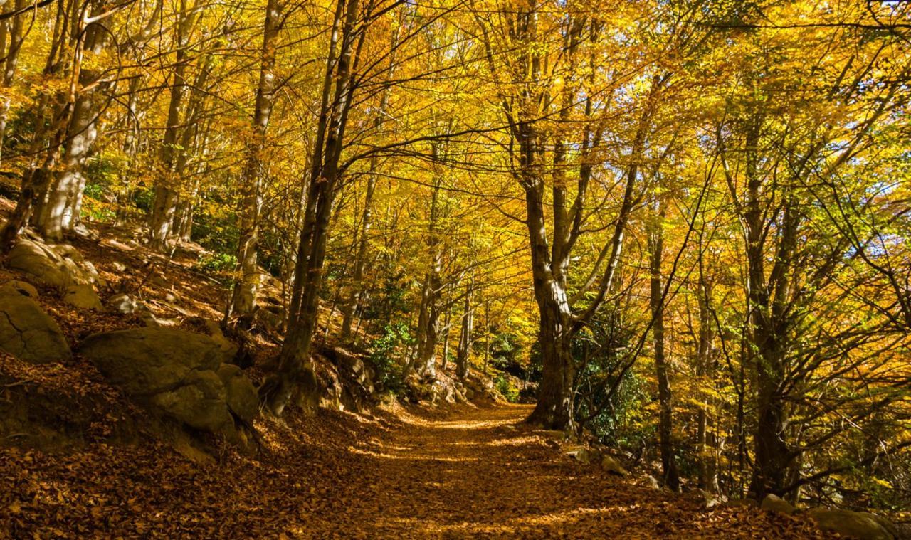 Willa Casa Con Bonitas Vistas Para Disfrutar De La Tranquilidad La Batlloria Zewnętrze zdjęcie